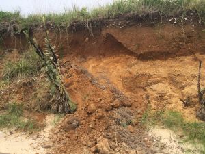 Coastal Geology Meets Surveying and GIS